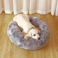 Cama para Cachorro e Gato Caminha Relax™ - Frete Grátis
