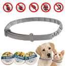 Coleira Anti-Pulgas e Carrapatos Seresto Para Pets - 8 Meses de Proteção