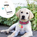Rastreador GPS Coleira Para Cachorros Gatos Chaves Bolsas Mala Crianças | Frete Grátis